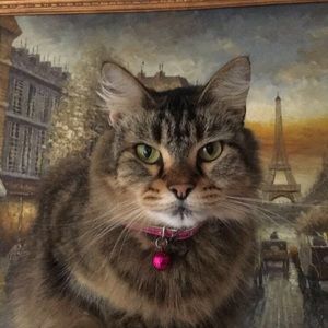 Meet your Posher, Sable